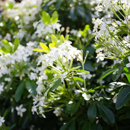 Сasa de vacaciones Domaine De Clairefontaine-2 By Interhome *