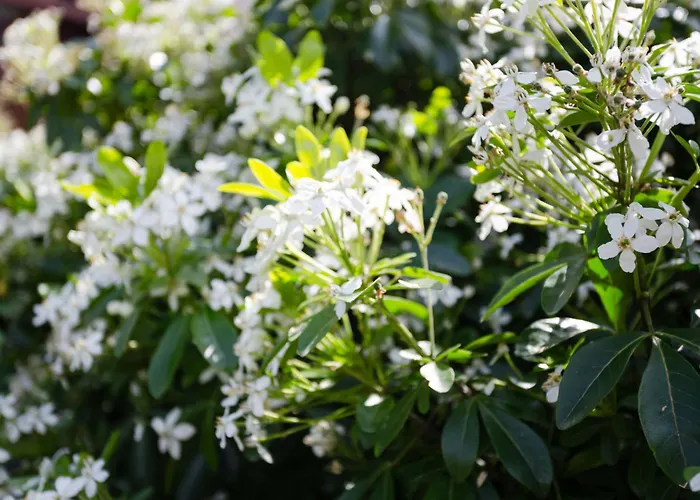 Сasa de vacaciones Domaine De Clairefontaine-2 By Interhome *